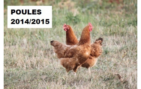 Saison 2014/2015 - Poules Séniors