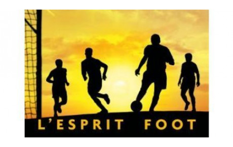 Les U14 PH vainqueurs du Challenge Esprit Foot