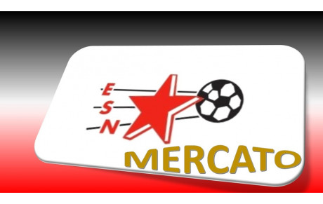 OFFICIEL : ROMUALD GATEFAIT SUCCEDE A MIKAEL CASTRO CINTAS A LA TETE DE L'ES NOUAILLE